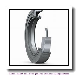 skf 20122 Radial shaft seals for general industrial applications