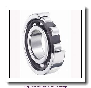 95 mm x 200 mm x 67 mm  NTN NJ2319C4 Single row cylindrical roller bearings