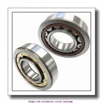 100 mm x 215 mm x 47 mm  NTN NJ320 Single row cylindrical roller bearings