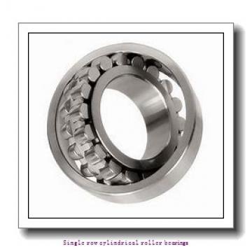 55 mm x 120 mm x 43 mm  SNR NJ.2311.EG15 Single row cylindrical roller bearings