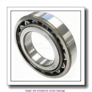 50 mm x 110 mm x 27 mm  NTN NJ310C4 Single row cylindrical roller bearings