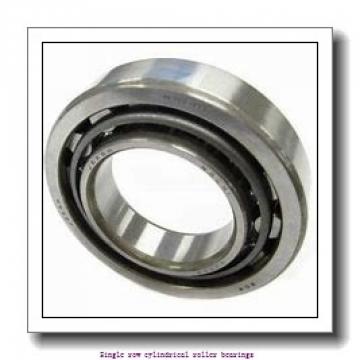 85 mm x 180 mm x 60 mm  NTN NJ2317EG1C4 Single row cylindrical roller bearings