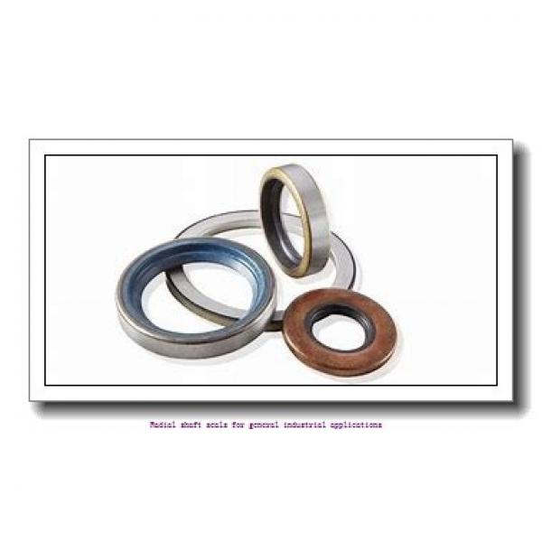 skf 11171 Radial shaft seals for general industrial applications #1 image